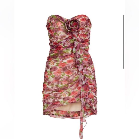 NEW Alessandra Rich Floral Silk Georgette Bustier Mini Dress Antique Rose Size 4 - Picture 4 of 14